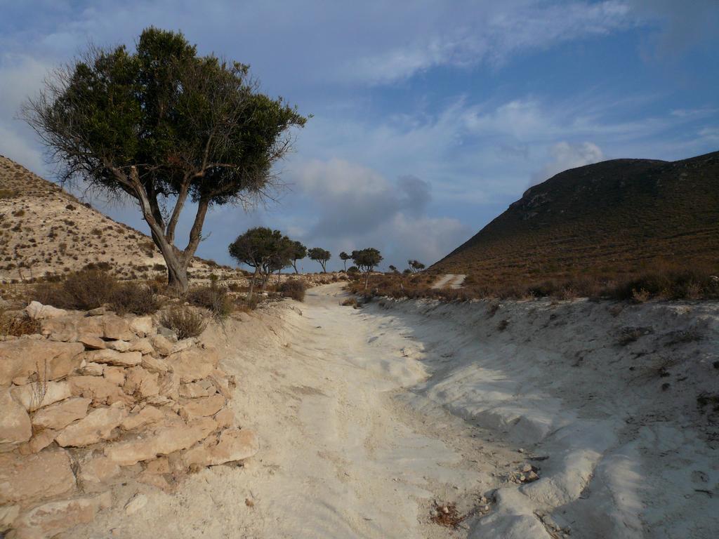 La Posidonia Apartment Rodalquilar Bagian luar foto
